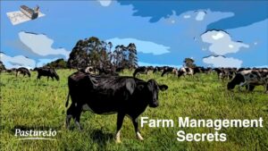 Secret Recipe to Have a Successful Livestock Business